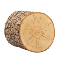 cross section of tree trunk shows detailed growth rings and textured bark, highlighting natural beauty and intricate patterns of wood. image captures essence of nature artistry png