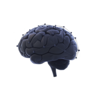 digital rendering of human brain with interconnected nodes and lines, symbolizing neural networks and artificial intelligence. image is set against transparent background png