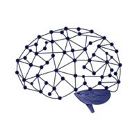 digital illustration of brain with interconnected nodes and lines represents neural network concept. design is abstract, with blue and black colors, symbolizing technology and connectivity png