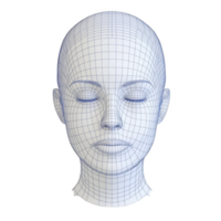 3D wireframe model of human head with closed eyes, showcasing detailed grid lines and neutral expression. model is symmetrical and appears to be used for digital design or animation purposes png