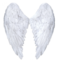 pair of large, white angel wings with detailed feathers, symbolizing purity and grace, isolated on transparent background. wings are symmetrical and evoke sense of serenity png