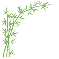 cluster of green bamboo stalks with leaves is arranged in graceful, arching pattern against transparent background, evoking sense of tranquility and natural beauty png