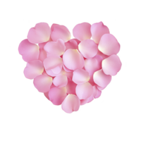 Heart shaped arrangement of soft pink rose petals on transparency background, symbolizing love and romance. delicate petals create gentle and elegant visual, perfect for romantic themes png