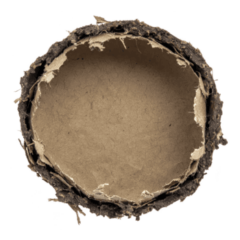 This shows close up view of round, empty bird nest made from twigs and natural materials, showcasing its intricate texture and earthy tones png