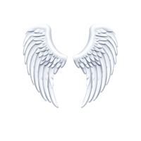 pair of white angel wings with detailed feathers, symbolizing purity and freedom, set against transparent background. wings are symmetrical and elegantly curved png