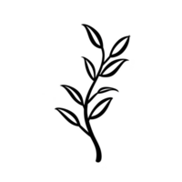 simple black line drawing of leafy branch with multiple leaves extending from central stem, creating minimalist and natural design png