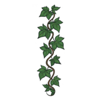 vertical illustration of green ivy vine with lush leaves, showcasing natural and organic design. vine twists elegantly, creating sense of growth and vitality png
