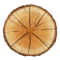 cross section of tree trunk reveals growth rings and natural cracks, showcasing texture and age of wood. circular pattern is highlighted by contrast between light and dark rings png