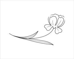 Delicate abstract wildflower line art for templates. Sketch art. Botanical illustration. vector