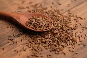 Cumin is a flowering plant from the Apiaceae family that originates from the eastern Mediterranean region to eastern India. Cuminum cyminum photo