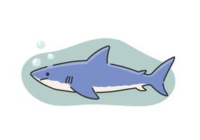 illustration of shark on white background, flat style. vector