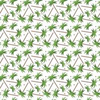 Palm seamless pattern with tropical tree. Beach summer background with green leaves palm vector