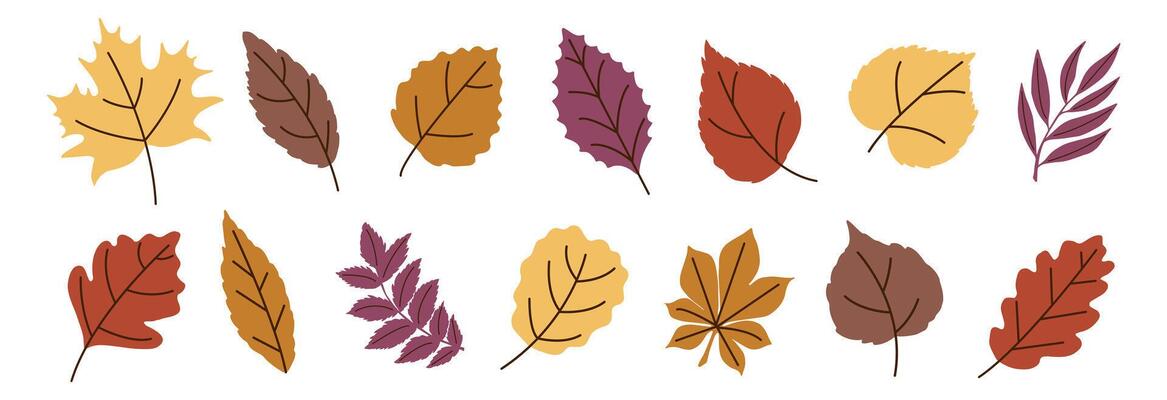 Autumn Leaves Flat Trendy Set. Fall Leaf Rowan, Maple, Oak, Birch, Chestnut, Willow, Beech, Hawthorn, Poplar, Elm, Aspen, Linden, Alder, Ash. Modern Fall Forest Branches, Foliage. Botanical Floral Set