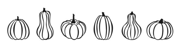 Pumpkin Hand Drawn Doodle Outline set for Thanksgiving Day or Halloween Isolated on white Background. Silhouette Traditional Halloween Decorative line Element. Thanksgiving Pumpkin Icon Sketch. vector