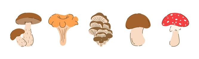 Set Flat Mushrooms Edible and Poisonous, Champignon, Birch Boletus, Chanterelles, Oyster Mushrooms, Fly Agaric Isolated on white Background. Autumn Vegetarian Elements in Modern Trendy Cartoon Style. vector