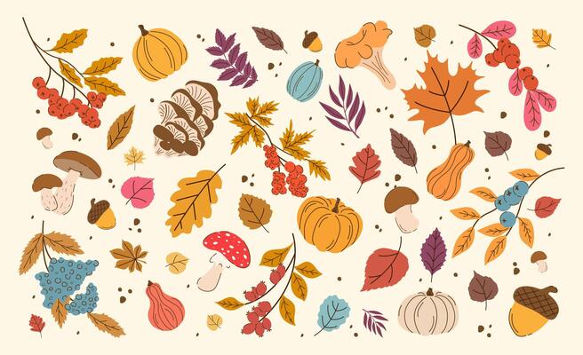 Autumn Set Elements Fall Leaves, Mushrooms, Pumpkins, Berries, Maple, Oak, Acorn in Trendy Flat Style. Fallen leaves Collection Hand Drawn Icons. Red and Orange Colored Autumn Harvest Floral Stickers.