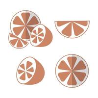 Grapefruit set halved and sliced pieces in flat style with shadow vector