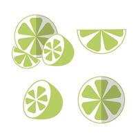 Lime set halved and sliced pieces in flat style with shadow vector