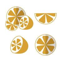Orange set halved and sliced pieces in flat style with shadow vector
