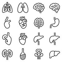 Black and white simple icon set representing human internal organ systems for education vector