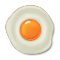 Realistic fried egg icon isolated on white background. Design template. vector