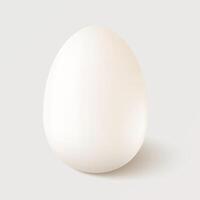 Realistic white single chicken egg isolated on white background. Design template. vector