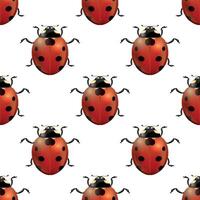spring seamless pattern with realistic ladybugs vector