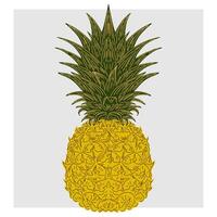 a pineapple on a white background vector