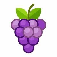 Grapes icon in flat style on white background vector