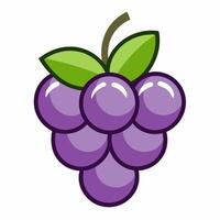 A purple grape with leaves on it vector