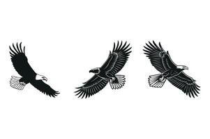 Majestic Eagle in Flight vector