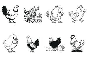 Pecking Chicken Sketch vector
