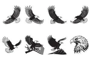 American Eagle In Flight Design Gliding Hawk Silhouette Drawing vector