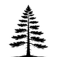 Pine Tree Art. vector