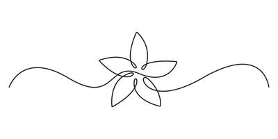 Continuous single line drawing of floral flower isolated on white background graphic illustration vector