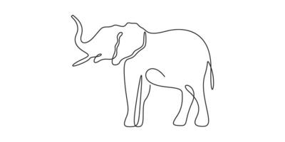 Elephant continuous one line drawing graphic illustration vector