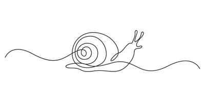 Snail, continuous one line drawing. Single line art snail. Isolated on white background graphic illustration vector