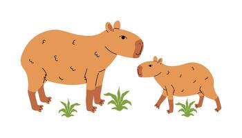 Cute capybara mother with baby standing and looking at each other, isolated on white in cartoon flat style. vector