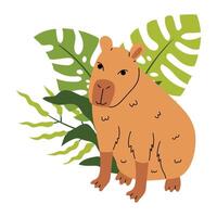 Cute capybara with tropical leaf composition isolated on white in cartoon flat style. vector