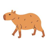 Cute capybara walking, isolated on white in cartoon flat style. vector