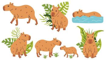Capybaras in tropical foliage vector