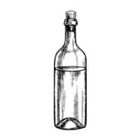 A bottle of white wine. graphics, black and white hand-drawn illustration. Isolate on a white background. For packages and labels. For banners and posters. For restaurant and bar menus. vector