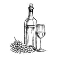 A bottle of white wine, a glass and grapes. Hand-drawn graphic illustration. Isolate on a white background. For packages and labels. For banners and posters. For restaurants and bars and more. vector