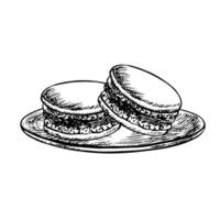 French macaroon biscuits on a saucer. graphics, black and white hand-drawn illustration. Highlight it on a white background. Almond confectionery products. An element of your design. vector