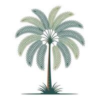 Palm Tree Graphic Artwork. vector