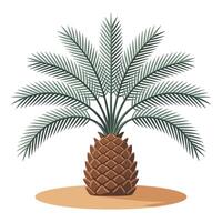 A palm tree with a single leaf on it vector