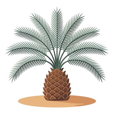 A palm tree with a single leaf on it