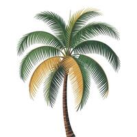 A palm tree with a green leaf on it vector