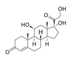 Cortisol structure black color for design project vector