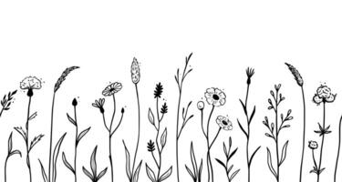 Wild field flower line seamless pattern vector